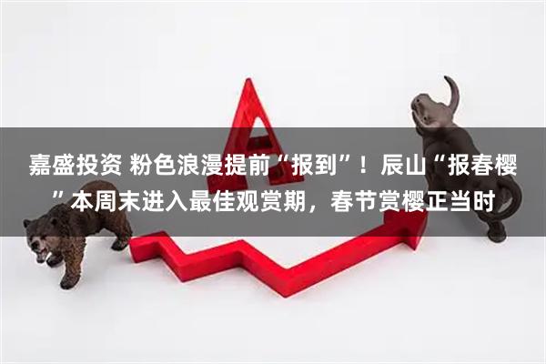 嘉盛投资 粉色浪漫提前“报到”！辰山“报春樱”本周末进入最佳观赏期，春节赏樱正当时