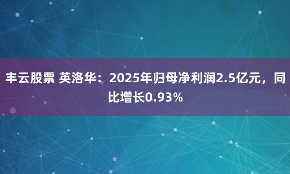 丰云股票 英洛华：2025年归母净利润2.5亿元，同比增长0.93%